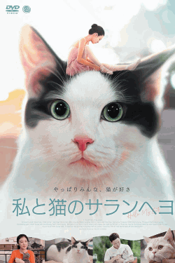 [DVD] 私と猫のサランヘヨ