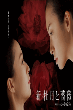 [DVD] 新 牡丹と薔薇