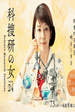 [DVD] 科捜研の女 Season24