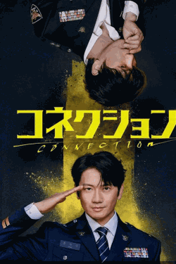 [DVD]  コネクション