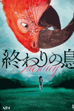 [DVD]  終わりの鳥