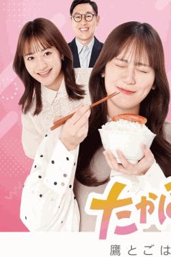 [DVD]  たかほー日和。　～鷹とごはんと時々、恋～