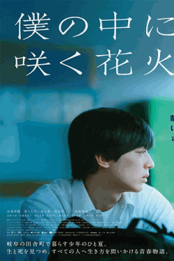 [DVD]  僕の中に咲く花火