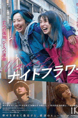 [DVD]  ナイトフラワー