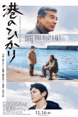 [DVD]  港のひかり