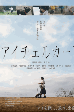 [DVD]  アイチェルカーレ