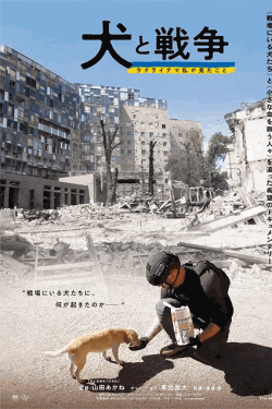 [DVD]  犬と戦争　ウクライナで私が見たこと