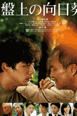 [DVD]  盤上の向日葵