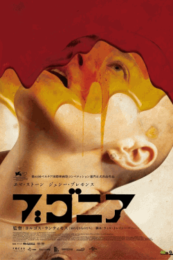 [DVD]  ブゴニア