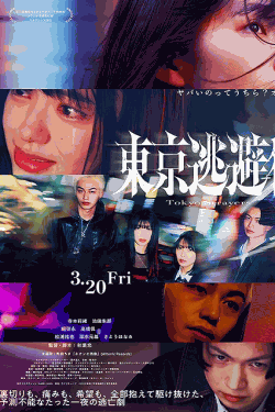 [DVD]  東京逃避行
