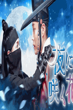 [DVD]  夜に咲く花