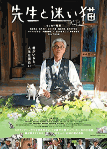 [DVD] 先生と迷い猫