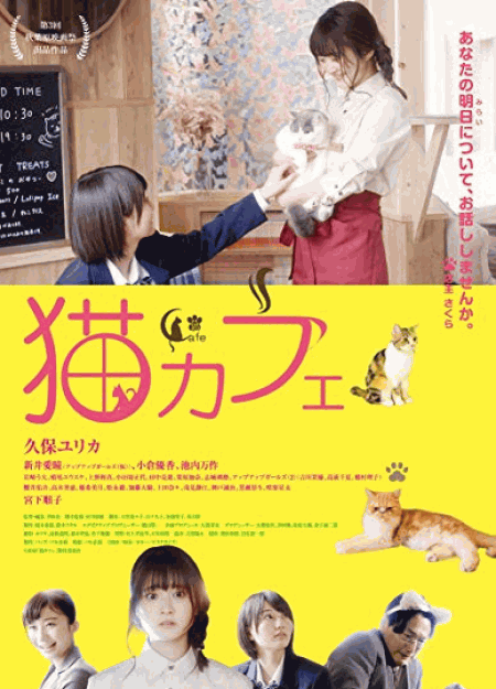 [DVD] 猫カフェ