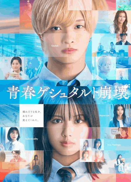 [DVD]  青春ゲシュタルト崩壊