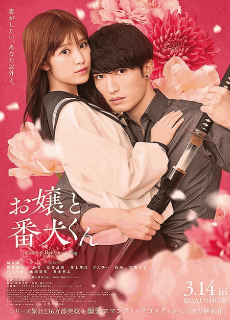 [DVD]  お嬢と番犬くん