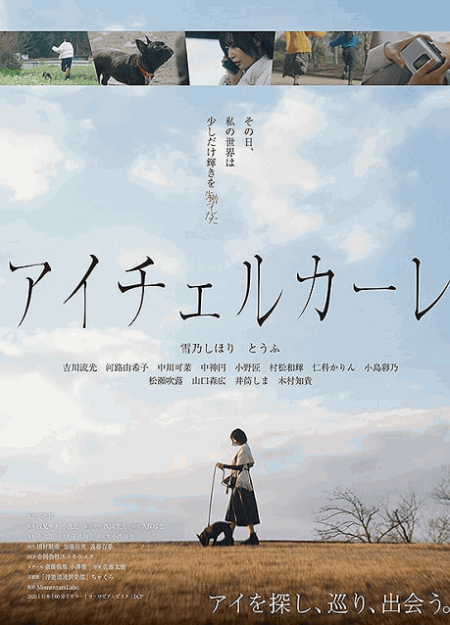 [DVD]  アイチェルカーレ