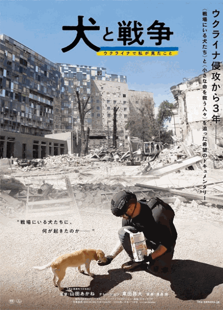 [DVD]  犬と戦争　ウクライナで私が見たこと
