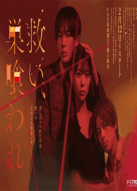 [DVD]  救い、巣喰われ