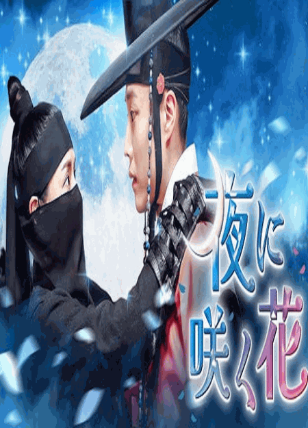 [DVD]  夜に咲く花